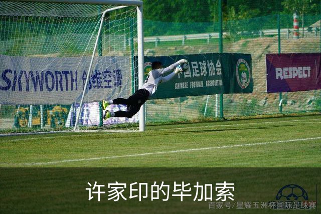 许家印的毕加索