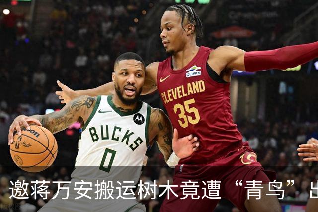 邀蒋万安搬运树木竟遭“青鸟”出征，清洁队长：我好内疚、很难过